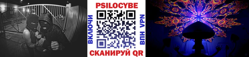 Псилоцибиновые грибы Cubensis  Кизляр 